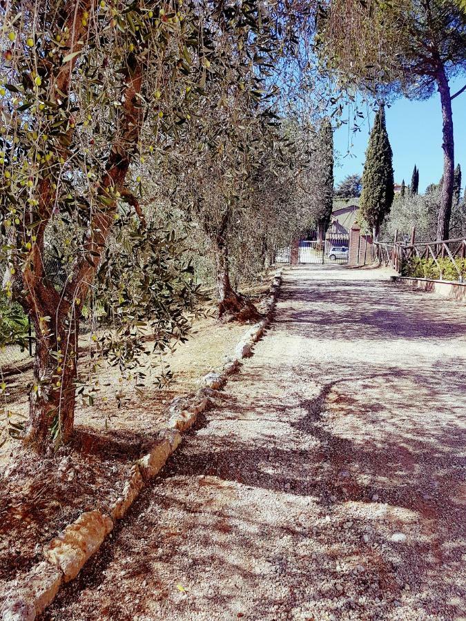 Villa Degli Olivi Nature Siena Exterior foto